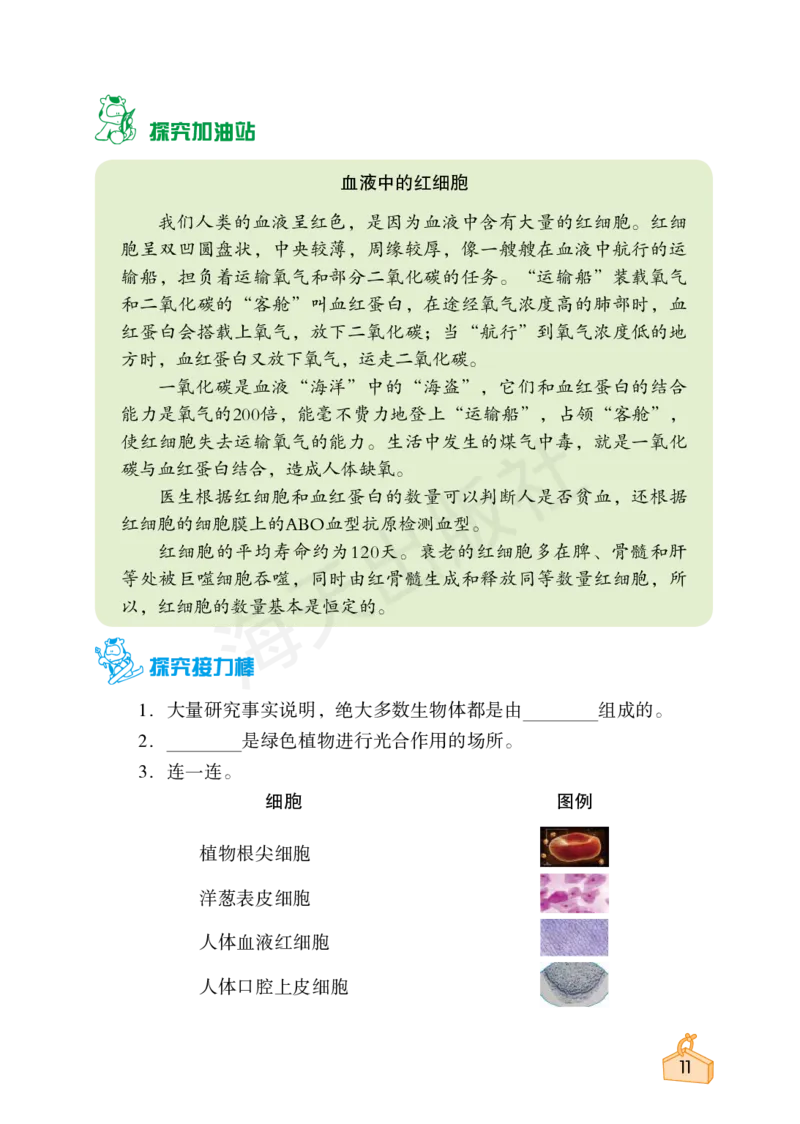 2022秋《知识与能力训练&middot;科学》六年级-内文_2024年人教版小学数学一二三四五六年级上册下册期中期末试a0747_小学全科《同步练习+精品试卷》打包下载（1-6年级单元月考期中期末试卷）