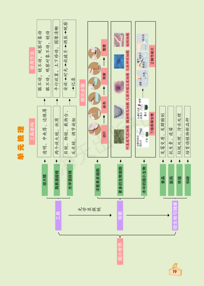 2022秋《知识与能力训练&middot;科学》六年级-内文_2024年人教版小学数学一二三四五六年级上册下册期中期末试a0747_小学全科《同步练习+精品试卷》打包下载（1-6年级单元月考期中期末试卷）