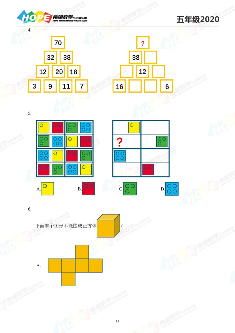 2024年5年级完整版_希望杯IHC