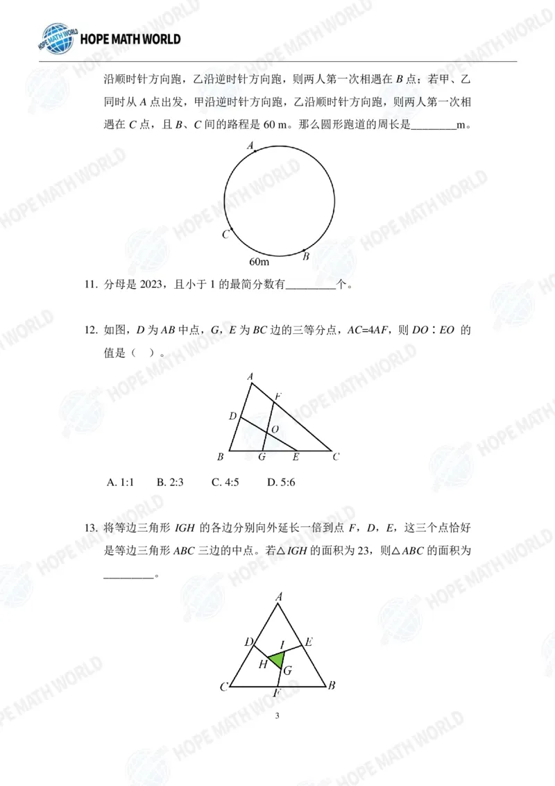 2024年5年级完整版_希望杯IHC