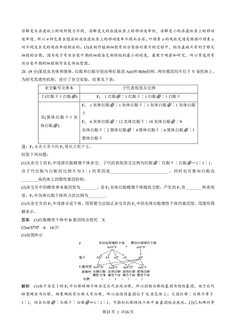 2020年高考生物试卷（浙江）7月（解析卷）_生物历年高考真题_新&middot;PDF版2008-2025&middot;高考生物真题_生物（按年份分类）2008-2025_2020&middot;高考生物真题