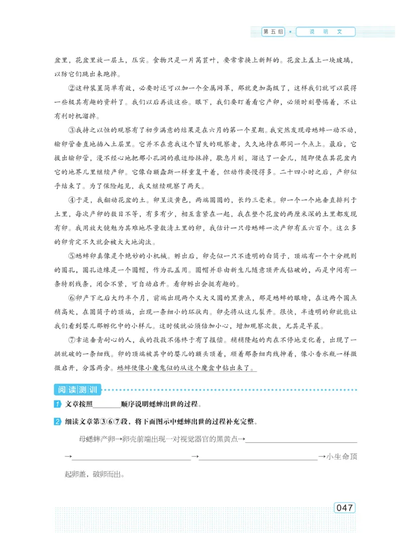 《群文阅读主题训练》语文5年级上册（RJ）