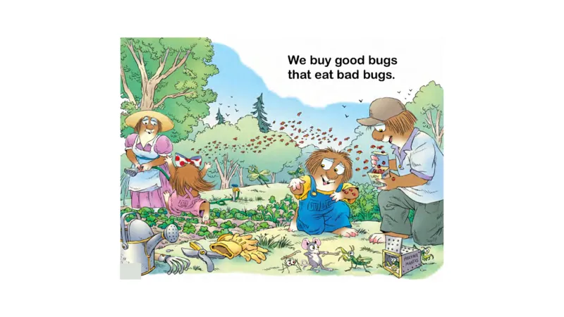 12.Agreengreengarden_Frank（小毛怪）老师爆笑阅读单词课（50个故事3000词）_小炸毛爆笑故事单词课课件