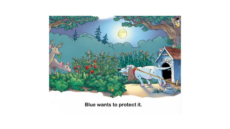 12.Agreengreengarden_Frank（小毛怪）老师爆笑阅读单词课（50个故事3000词）_小炸毛爆笑故事单词课课件