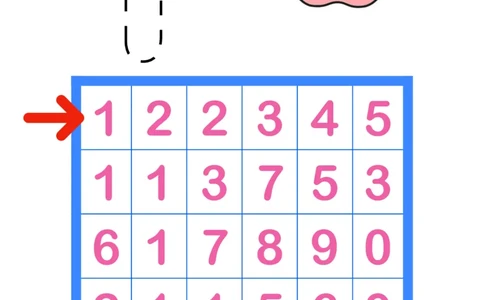 数感游戏Part1_幼小衔接数学