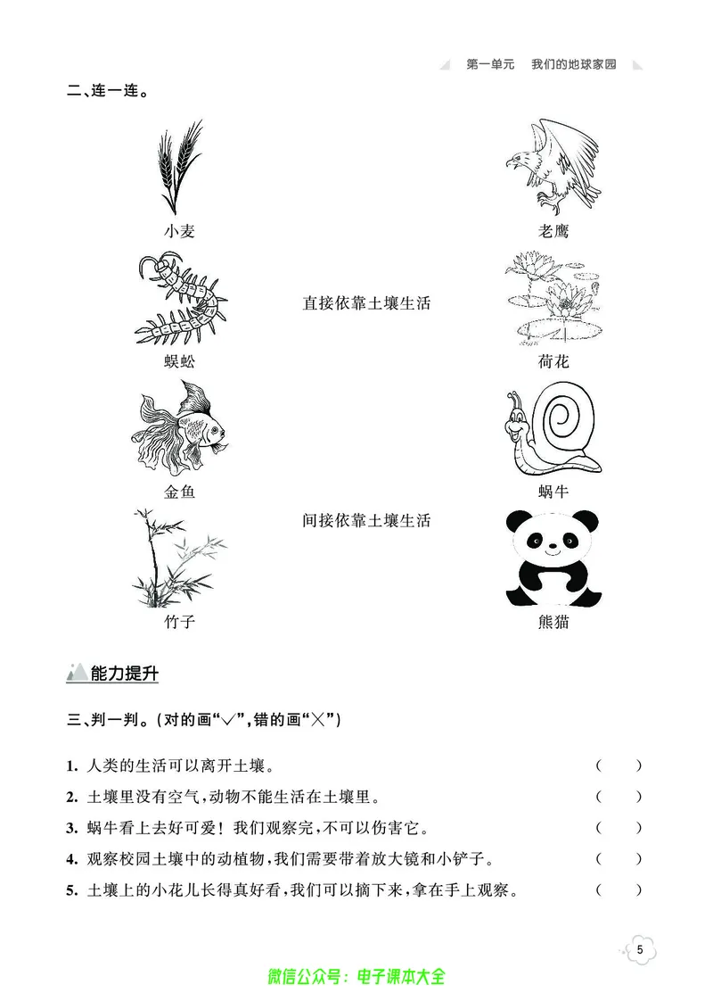 科学2a_2024年人教版小学数学一二三四五六年级上册下册期中期末试a0747_小学全科《同步练习+精品试卷》打包下载（1-6年级单元月考期中期末试卷）_小学科学