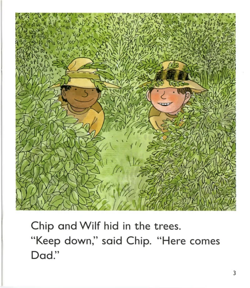 5-22SafariAdventure_Frank（小毛怪）老师爆笑阅读单词课（50个故事3000词）_牛津树5级别穿越单词课课件