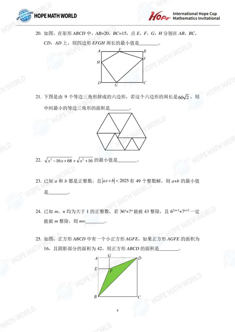 2025IHCJ-8发布版_希望杯IHC