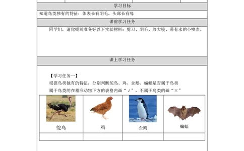 0925三年级科学(湘科版)鸟-3学习任务单_三年级上下册资料_小学三年级学习资料-25年更新版_3-09、小学三年级科学上册_湘科版_学习任务单