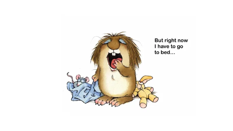 14.whenIgetbigger_Frank（小毛怪）老师爆笑阅读单词课（50个故事3000词）_小炸毛爆笑故事单词课课件