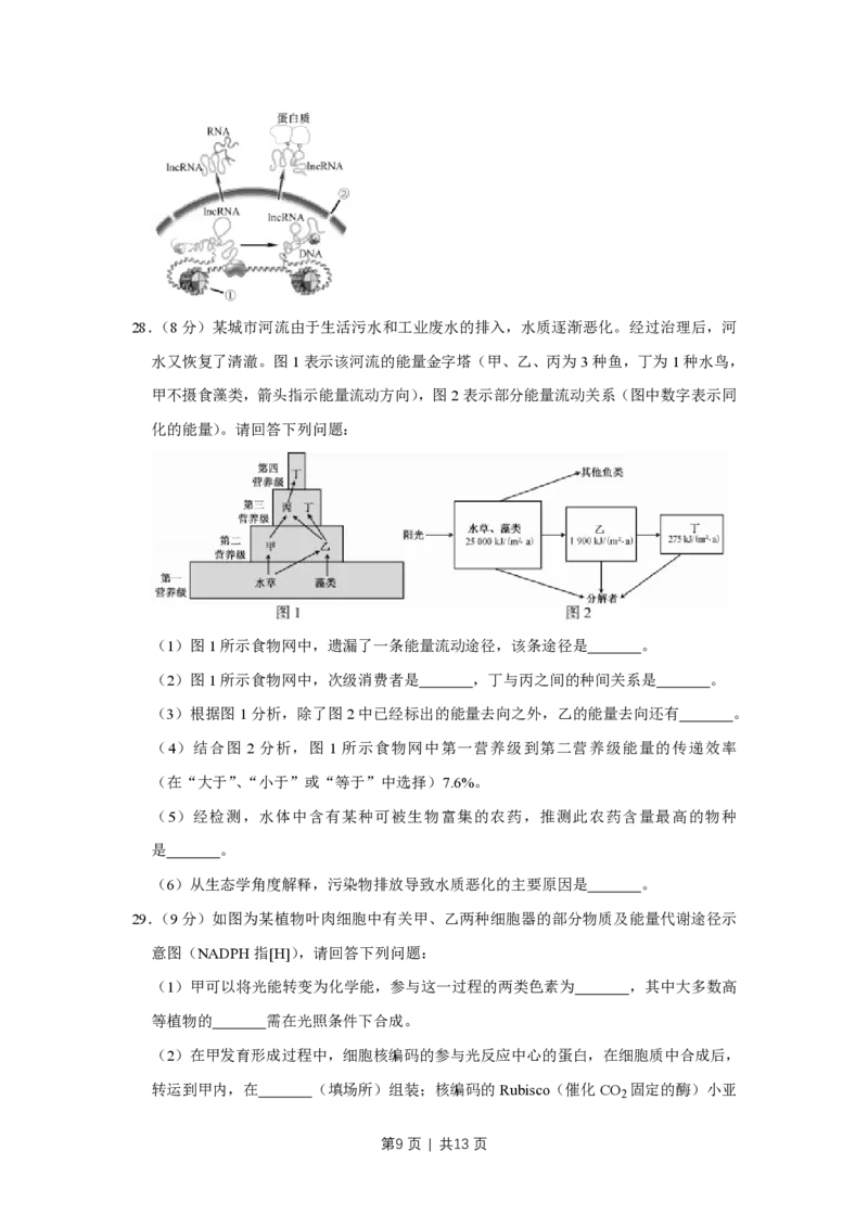 2018年高考生物试卷（江苏）（空白卷）_生物历年高考真题_新&middot;PDF版2008-2025&middot;高考生物真题_生物（按省份分类）2008-2025_2008-2025&middot;（江苏）生物高考真题