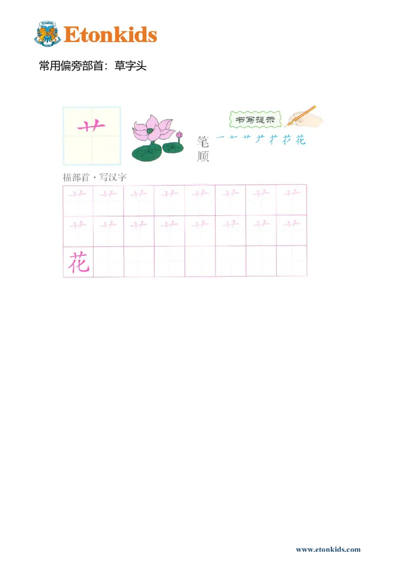 p161-偏旁部首：草字头_幼小衔接全套_7.幼小衔接全套_22、幼小衔接教材_语文幼小衔接幼儿操作手册word（语文）