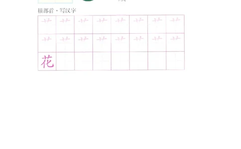 p161-偏旁部首：草字头_幼小衔接全套_7.幼小衔接全套_22、幼小衔接教材_语文幼小衔接幼儿操作手册word（语文）