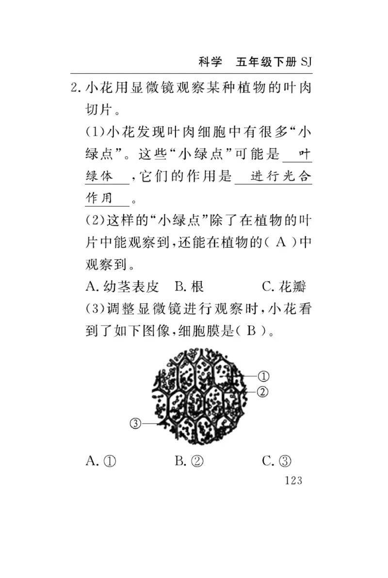 苏教版科学五年级下册速记速查_2024年人教版小学数学一二三四五六年级上册下册期中期末试a0747_小学全科《同步练习+精品试卷》打包下载（1-6年级单元月考期中期末试卷）_小学科学