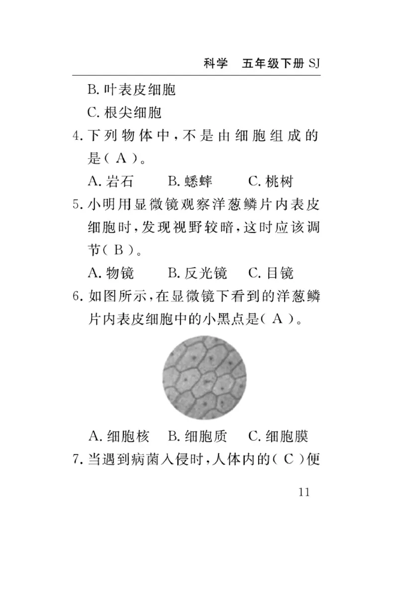 苏教版科学五年级下册速记速查_2024年人教版小学数学一二三四五六年级上册下册期中期末试a0747_小学全科《同步练习+精品试卷》打包下载（1-6年级单元月考期中期末试卷）_小学科学