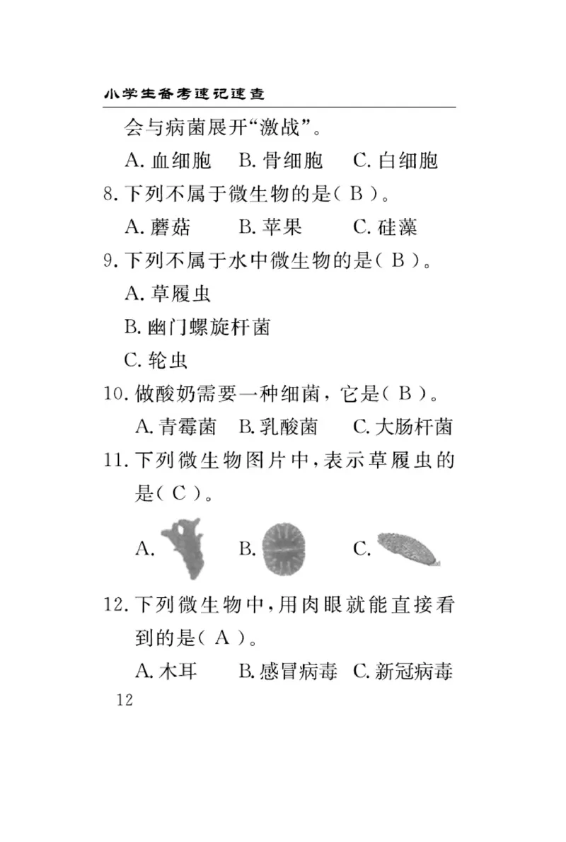 苏教版科学五年级下册速记速查_2024年人教版小学数学一二三四五六年级上册下册期中期末试a0747_小学全科《同步练习+精品试卷》打包下载（1-6年级单元月考期中期末试卷）_小学科学