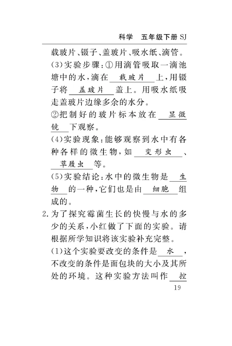 苏教版科学五年级下册速记速查_2024年人教版小学数学一二三四五六年级上册下册期中期末试a0747_小学全科《同步练习+精品试卷》打包下载（1-6年级单元月考期中期末试卷）_小学科学