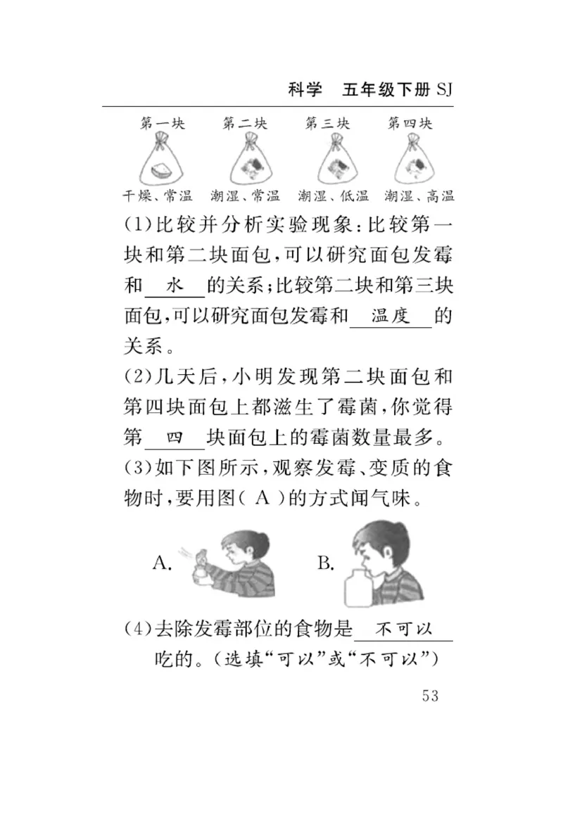 苏教版科学五年级下册速记速查_2024年人教版小学数学一二三四五六年级上册下册期中期末试a0747_小学全科《同步练习+精品试卷》打包下载（1-6年级单元月考期中期末试卷）_小学科学