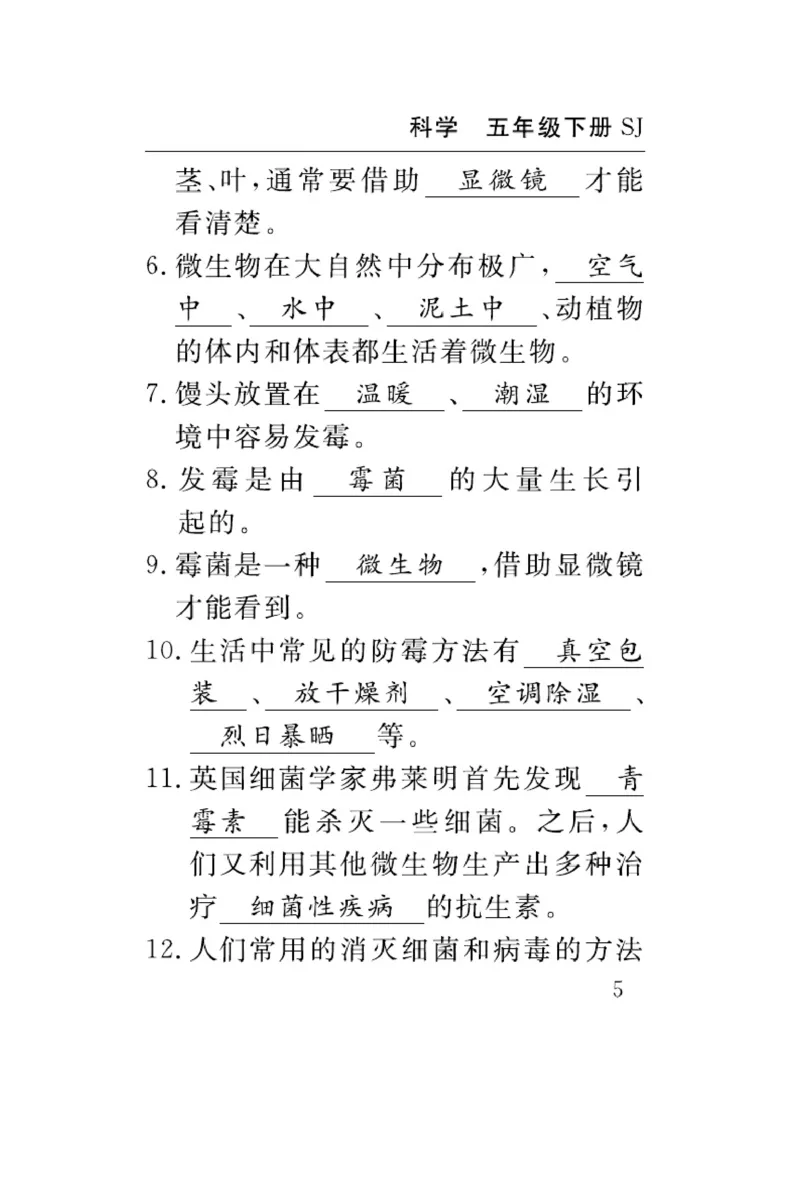 苏教版科学五年级下册速记速查_2024年人教版小学数学一二三四五六年级上册下册期中期末试a0747_小学全科《同步练习+精品试卷》打包下载（1-6年级单元月考期中期末试卷）_小学科学