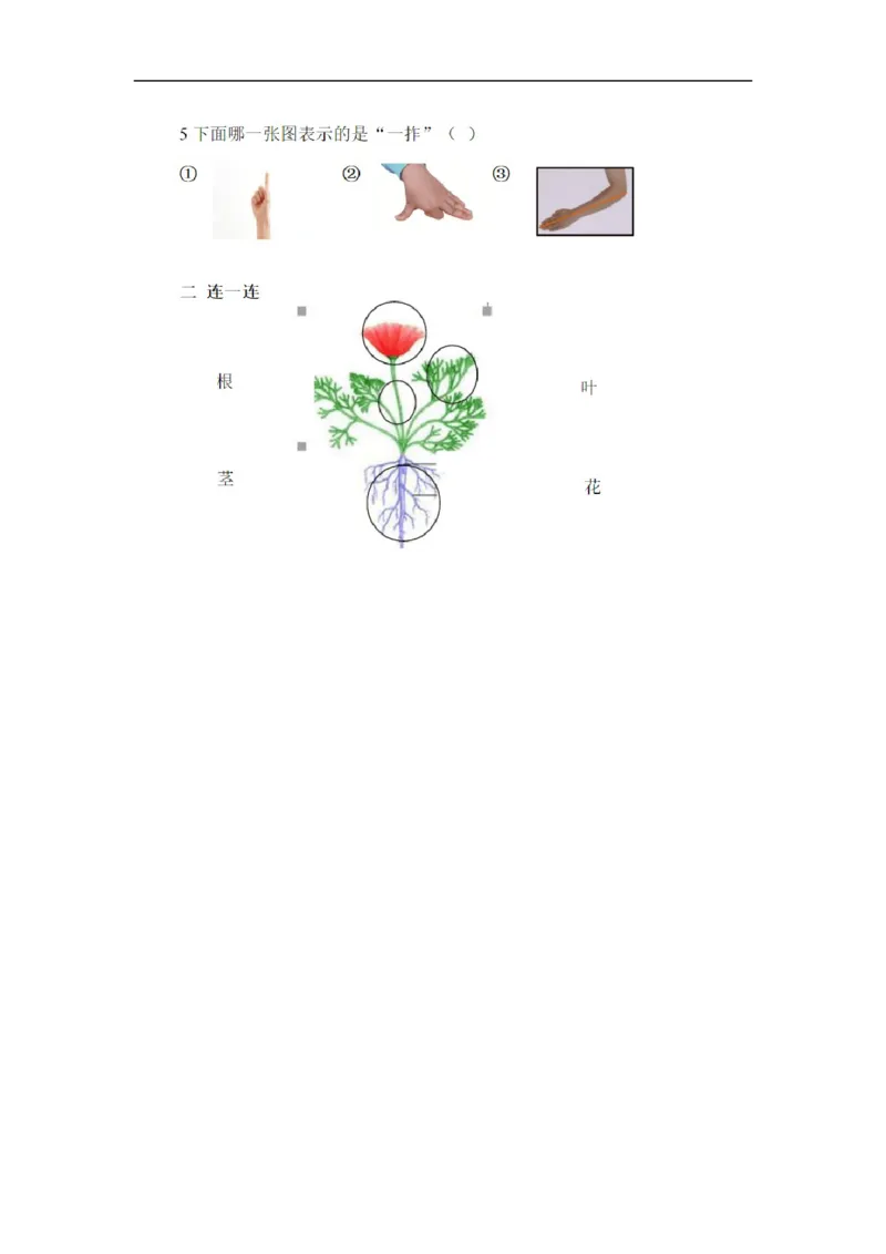 最新人教版一年级上册科学试题-期末考试试卷_2024年人教版小学数学一二三四五六年级上册下册期中期末试a0747_小学全科《同步练习+精品试卷》打包下载（1-6年级单元月考期中期末试卷）