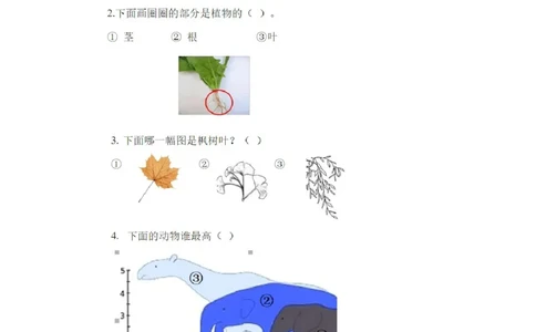 最新人教版一年级上册科学试题-期末考试试卷_2024年人教版小学数学一二三四五六年级上册下册期中期末试a0747_小学全科《同步练习+精品试卷》打包下载（1-6年级单元月考期中期末试卷）