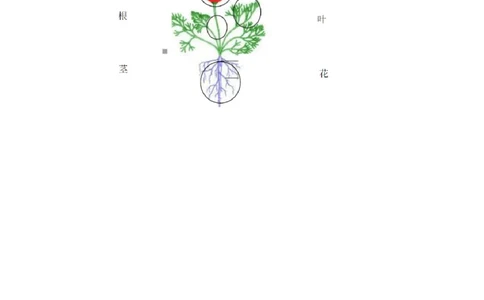 最新人教版一年级上册科学试题-期末考试试卷_2024年人教版小学数学一二三四五六年级上册下册期中期末试a0747_小学全科《同步练习+精品试卷》打包下载（1-6年级单元月考期中期末试卷）