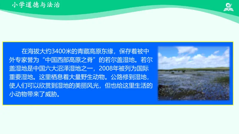 14慧眼看交通_课件_三年级上下册资料_小学三年级学习资料-25年更新版_3-08、小学三年级道法下册_课时练与课件