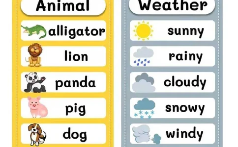 英语--启蒙便利贴_幼小语数英专项资料_幼小英语数字，字母