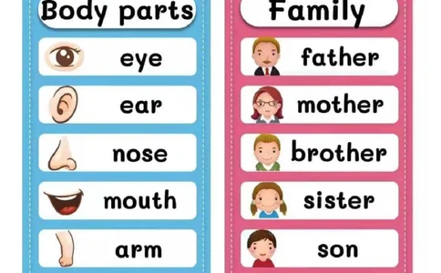 英语--启蒙便利贴_幼小语数英专项资料_幼小英语数字，字母