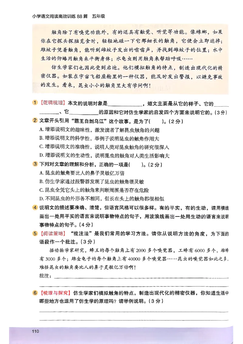 2026五年级木头马88篇高效训练-副本_26版高效阅读88篇五年级