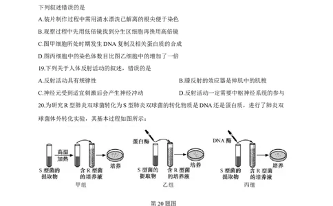 2019年高考生物试卷（浙江）4月（空白卷）_生物历年高考真题_新&middot;Word版2008-2025&middot;高考生物真题_生物（按年份分类）2008-2025_2019&middot;高考生物真题