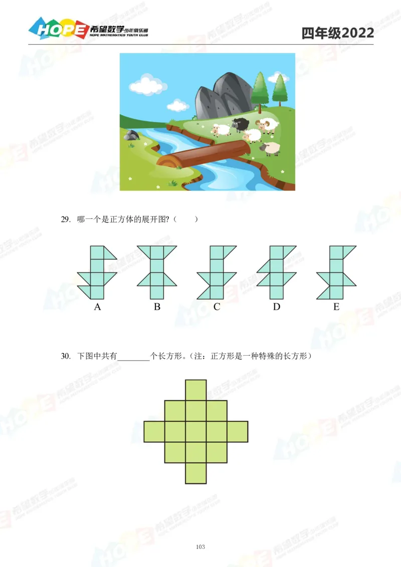 2024年4年级完整版_希望杯IHC