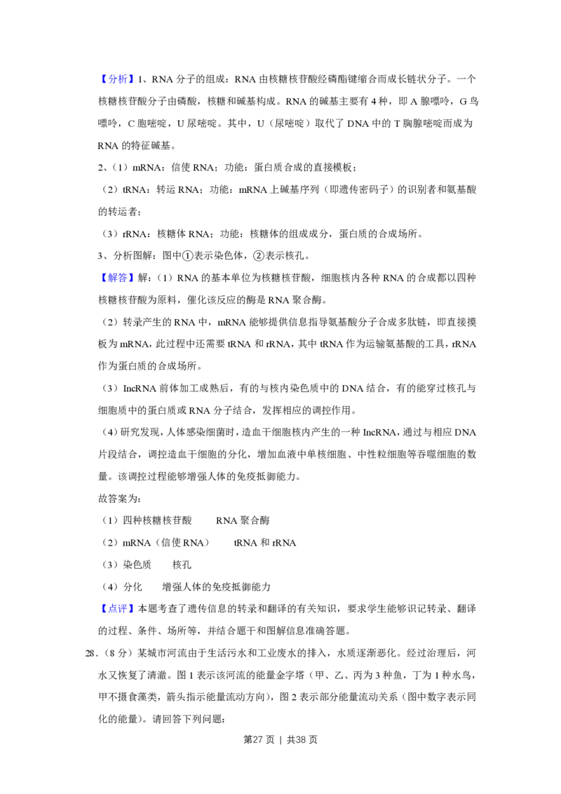 2018年高考生物试卷（江苏）（解析卷）_生物历年高考真题_新&middot;PDF版2008-2025&middot;高考生物真题_生物（按试卷类型分类）2008-2025_自主命题卷&middot;生物（2008-2025）_江苏自主命题&middot;生物（2008-2025）