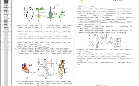 生物（贵州卷）（考试版A3）_2025年初中《中考第一次模拟》全国各地区模拟卷（8科全）(1)_2025年《中考第一次模拟卷》初中生物_贵州&radic;