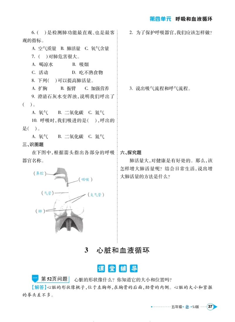 科学苏教版左记右练5年级上册_2024年人教版小学数学一二三四五六年级上册下册期中期末试a0747_小学全科《同步练习+精品试卷》打包下载（1-6年级单元月考期中期末试卷）_小学科学