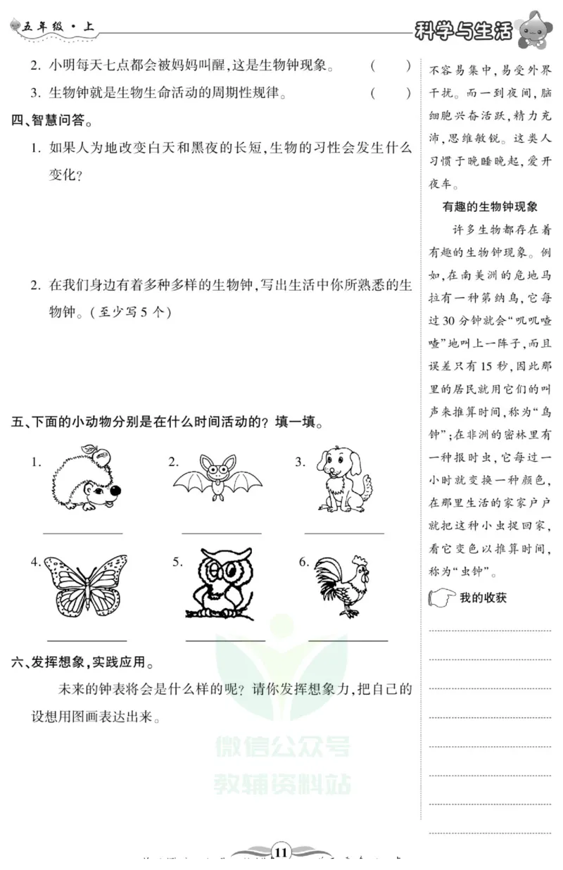 智能训练&middot;科学五年级上册大象版_2024年人教版小学数学一二三四五六年级上册下册期中期末试a0747_小学全科《同步练习+精品试卷》打包下载（1-6年级单元月考期中期末试卷）_小学科学