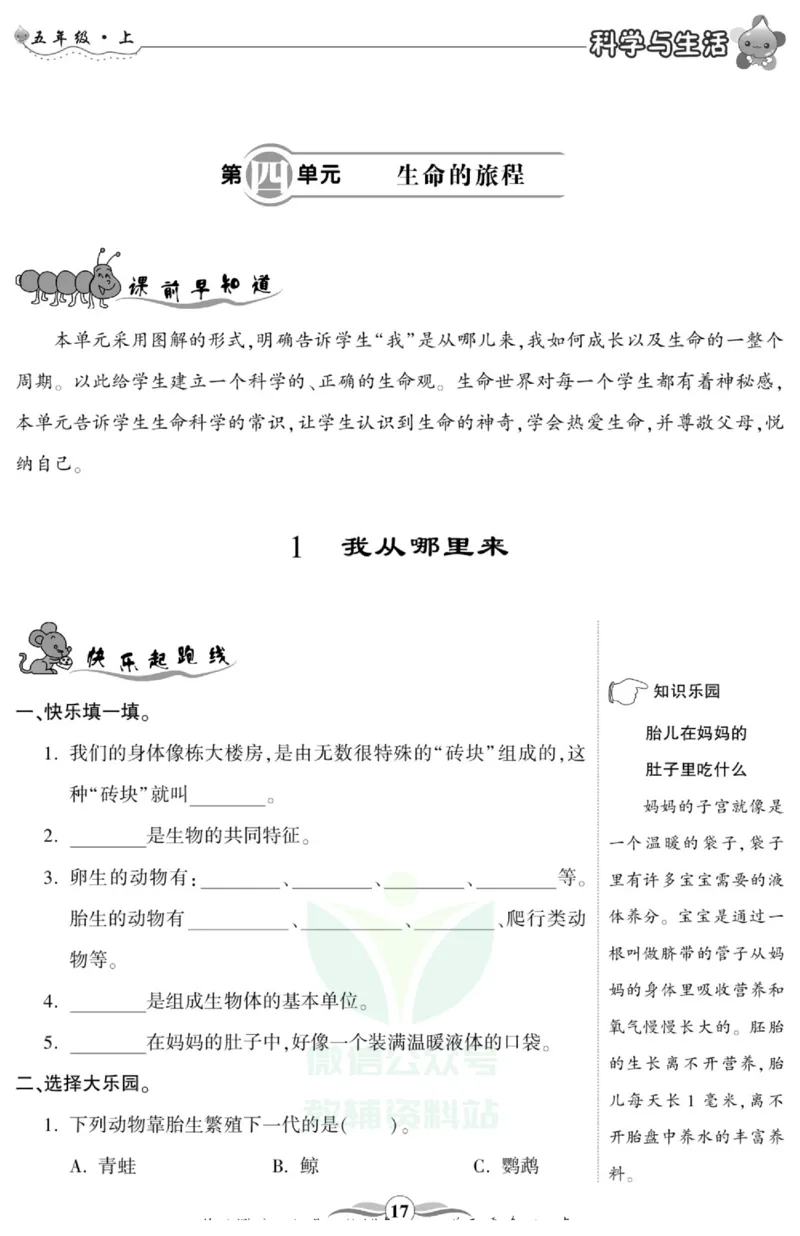 智能训练&middot;科学五年级上册大象版_2024年人教版小学数学一二三四五六年级上册下册期中期末试a0747_小学全科《同步练习+精品试卷》打包下载（1-6年级单元月考期中期末试卷）_小学科学