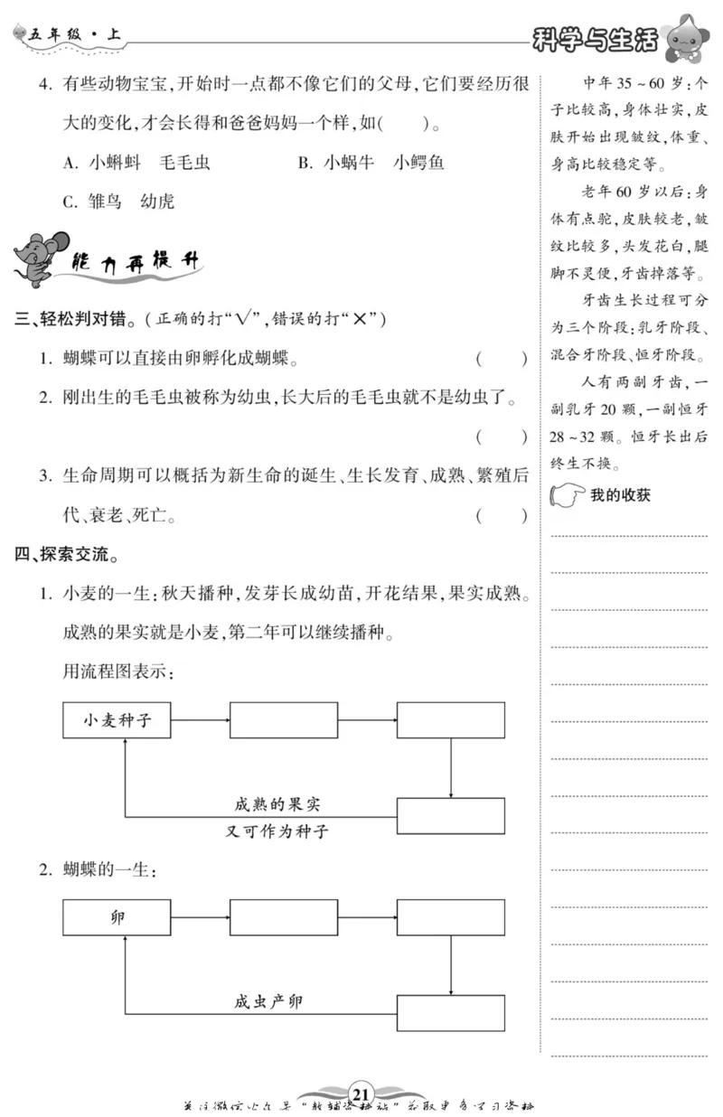 智能训练&middot;科学五年级上册大象版_2024年人教版小学数学一二三四五六年级上册下册期中期末试a0747_小学全科《同步练习+精品试卷》打包下载（1-6年级单元月考期中期末试卷）_小学科学