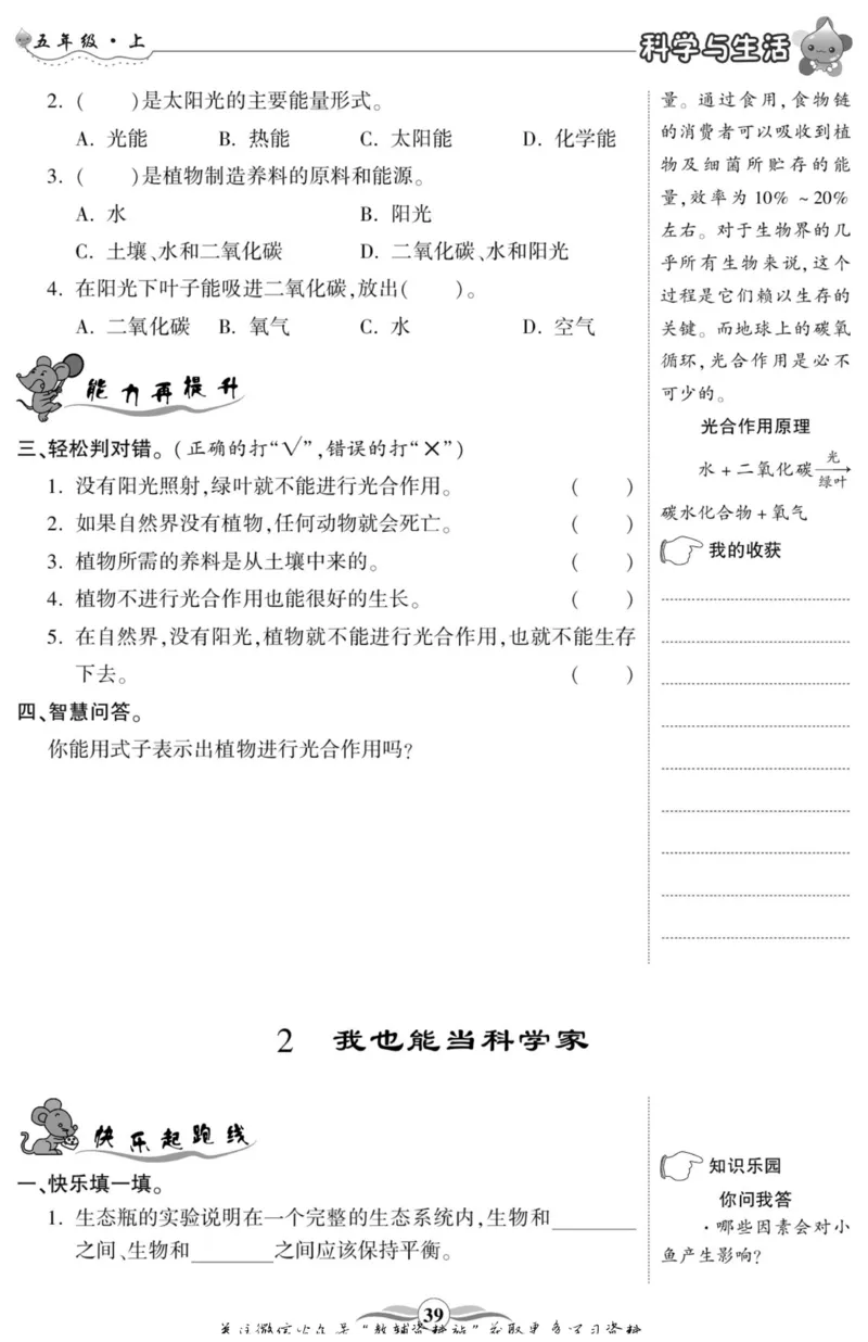 智能训练&middot;科学五年级上册大象版_2024年人教版小学数学一二三四五六年级上册下册期中期末试a0747_小学全科《同步练习+精品试卷》打包下载（1-6年级单元月考期中期末试卷）_小学科学