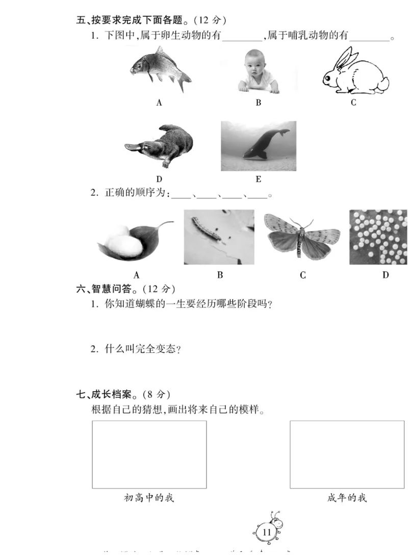 智能训练&middot;科学五年级上册大象版_2024年人教版小学数学一二三四五六年级上册下册期中期末试a0747_小学全科《同步练习+精品试卷》打包下载（1-6年级单元月考期中期末试卷）_小学科学