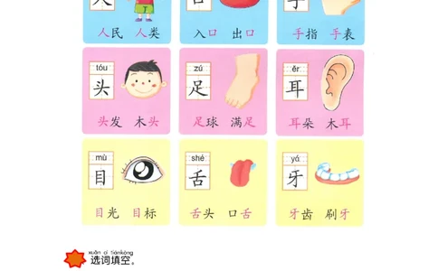 p57-课文&ldquo;我的身体&rdquo;_幼小衔接全套_7.幼小衔接全套_22、幼小衔接教材_语文幼小衔接教师参考用书word（语文）