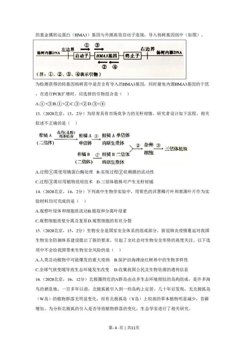 2020年高考生物试卷（北京）（空白卷）_生物历年高考真题_新&middot;PDF版2008-2025&middot;高考生物真题_生物（按省份分类）2008-2025_2008-2025&middot;（北京）生物高考真题