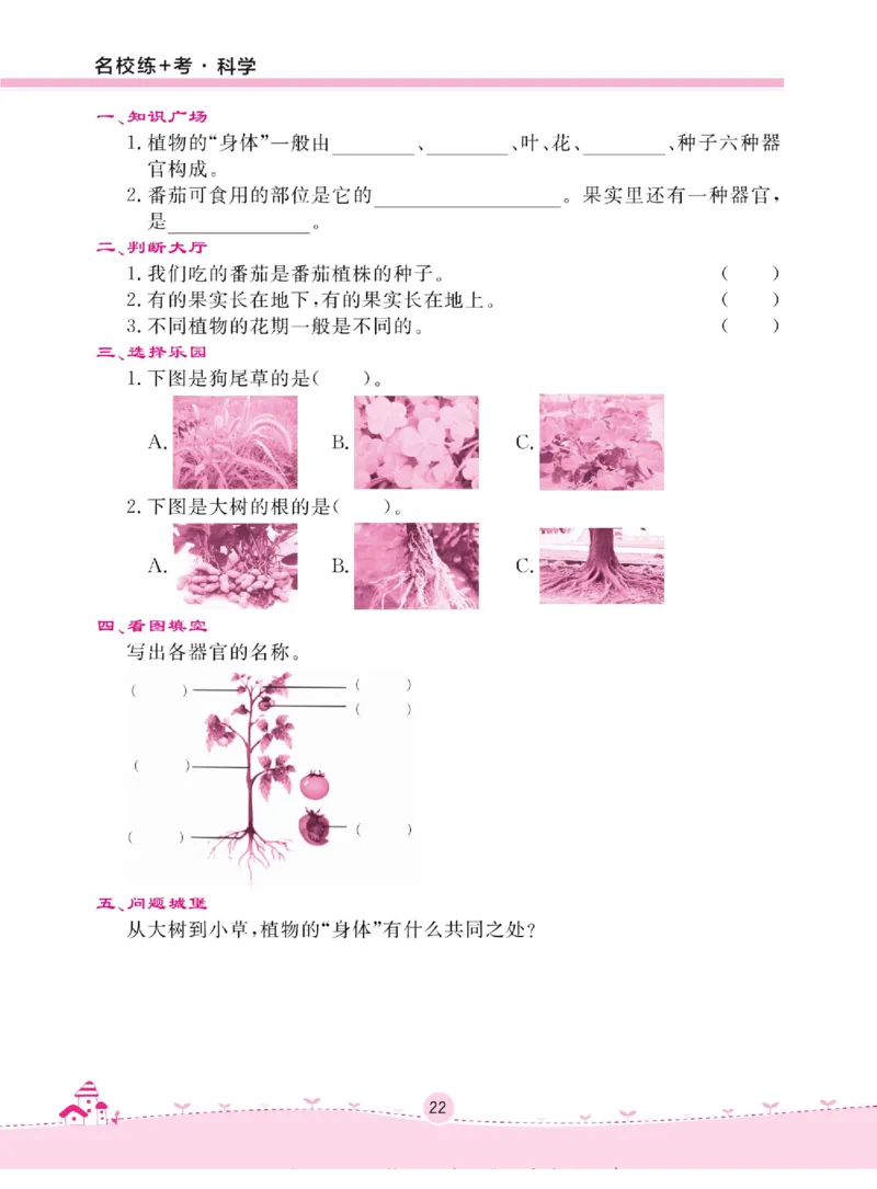 三下_2024年人教版小学数学一二三四五六年级上册下册期中期末试a0747_小学全科《同步练习+精品试卷》打包下载（1-6年级单元月考期中期末试卷）_小学科学_《名校练+考》