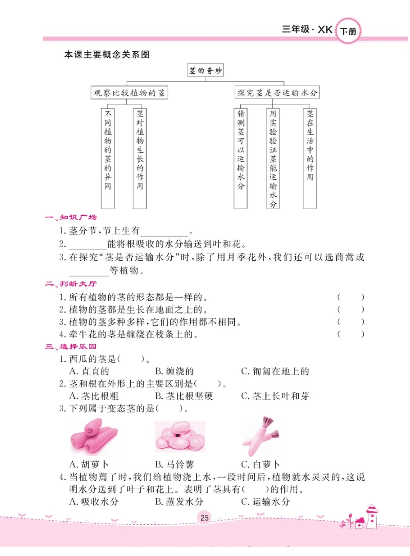三下_2024年人教版小学数学一二三四五六年级上册下册期中期末试a0747_小学全科《同步练习+精品试卷》打包下载（1-6年级单元月考期中期末试卷）_小学科学_《名校练+考》