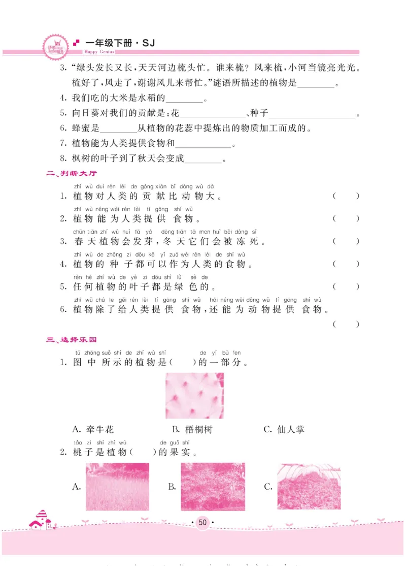 名校练+考一年级下册科学苏教版_2024年人教版小学数学一二三四五六年级上册下册期中期末试a0747_小学全科《同步练习+精品试卷》打包下载（1-6年级单元月考期中期末试卷）_小学科学