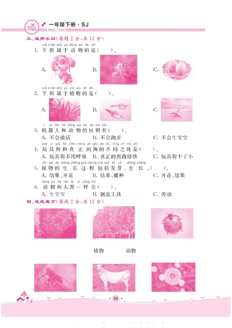 名校练+考一年级下册科学苏教版_2024年人教版小学数学一二三四五六年级上册下册期中期末试a0747_小学全科《同步练习+精品试卷》打包下载（1-6年级单元月考期中期末试卷）_小学科学