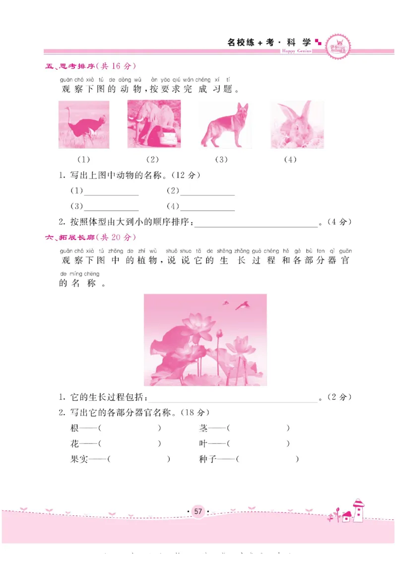 名校练+考一年级下册科学苏教版_2024年人教版小学数学一二三四五六年级上册下册期中期末试a0747_小学全科《同步练习+精品试卷》打包下载（1-6年级单元月考期中期末试卷）_小学科学