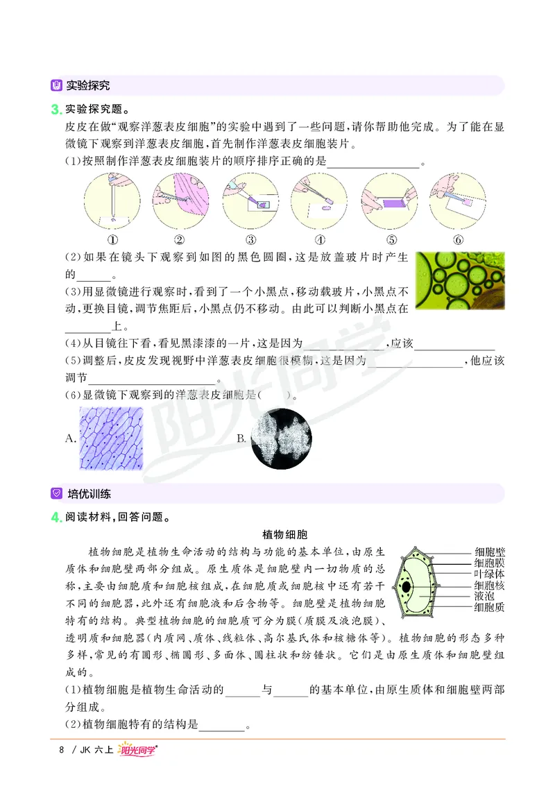 课时科学JK六上_2024年人教版小学数学一二三四五六年级上册下册期中期末试a0747_小学全科《同步练习+精品试卷》打包下载（1-6年级单元月考期中期末试卷）_小学科学