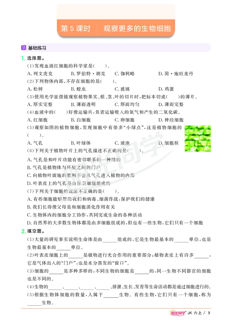 课时科学JK六上_2024年人教版小学数学一二三四五六年级上册下册期中期末试a0747_小学全科《同步练习+精品试卷》打包下载（1-6年级单元月考期中期末试卷）_小学科学