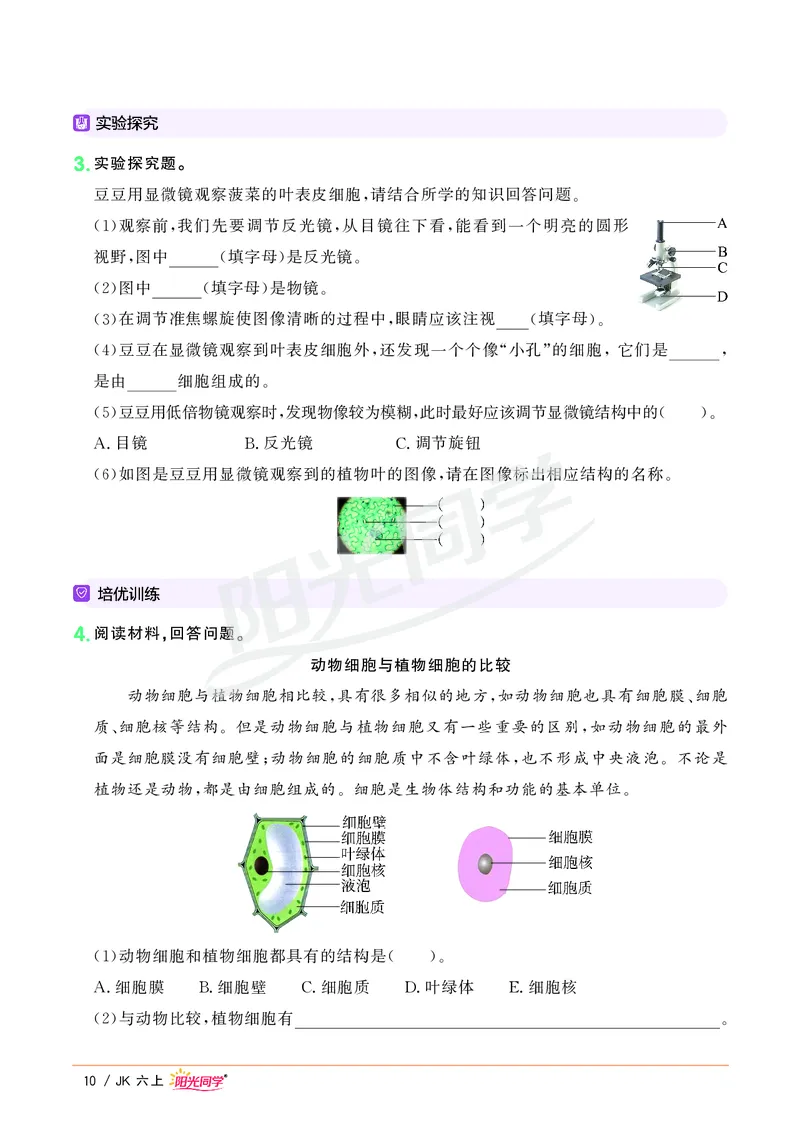 课时科学JK六上_2024年人教版小学数学一二三四五六年级上册下册期中期末试a0747_小学全科《同步练习+精品试卷》打包下载（1-6年级单元月考期中期末试卷）_小学科学